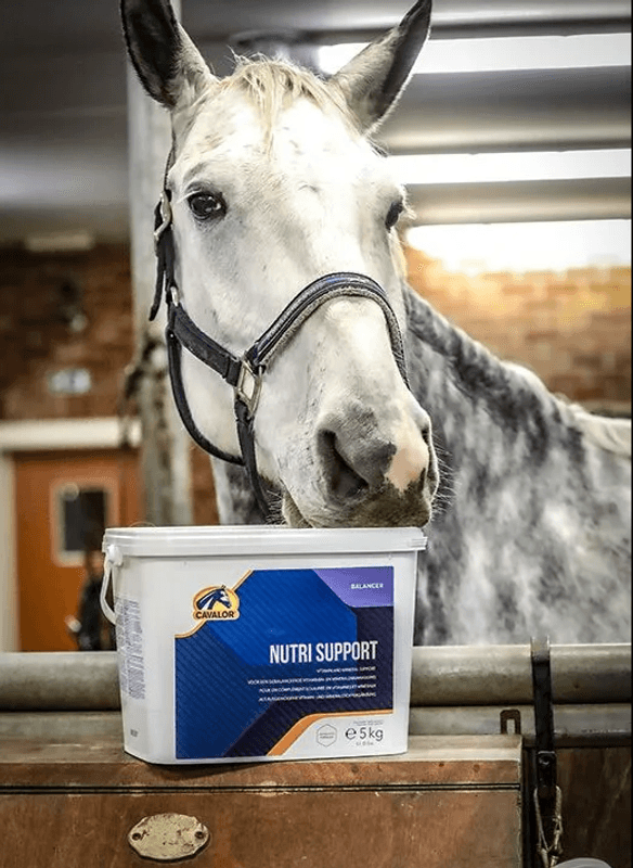 Cavalor Nutrisupport