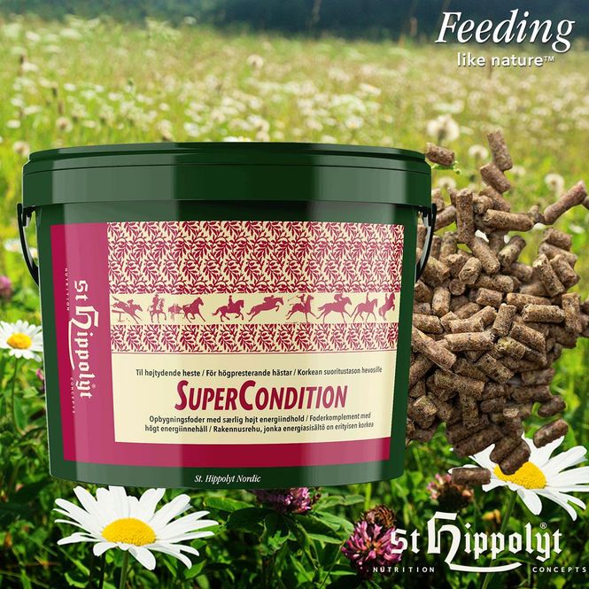 Hovedbilde Supercondition