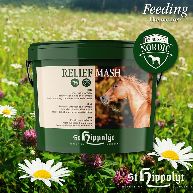 Relief Mash